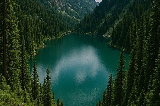 Mt Seymour Beautiful Elsay Lake - An In-Depth Look at the Mt Seymour Beautiful Elsay Lake Tour