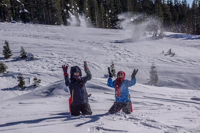 Mt. Shasta Snowshoeing Tours - Key Points