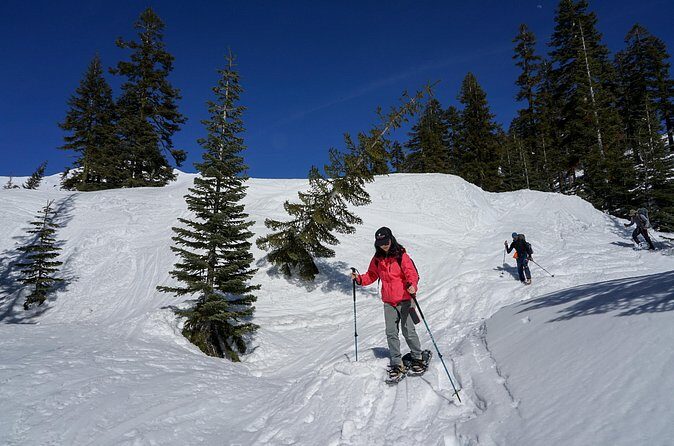 Mt. Shasta Snowshoeing Tours - FAQ