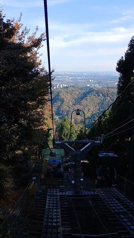 Mt. Takao Full-Day Tour with Tattoo-Friendly Hot Spring - At a glance
