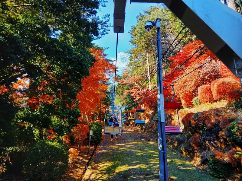 Mt. Takao Full-Day Tour with Tattoo-Friendly Hot Spring - A mountain day with a welcome soak