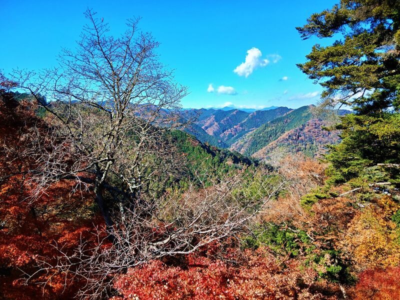 Mt. Takao Full-Day Tour with Tattoo-Friendly Hot Spring - What is known about the Mt. Takao portion