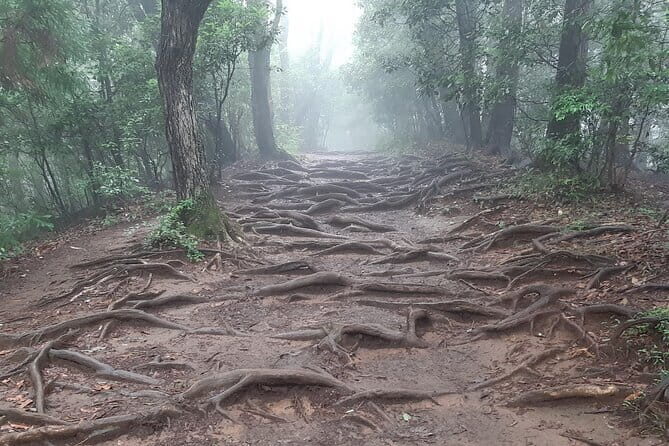 Mt. Takao with Hot Spring Private Tour - Practicalities and What You Need to Know