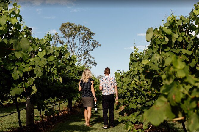 Mt Tamborine Shuttle Service - Gold Coast Return Transfer - A Deep Dive into the Mount Tamborine Shuttle Experience