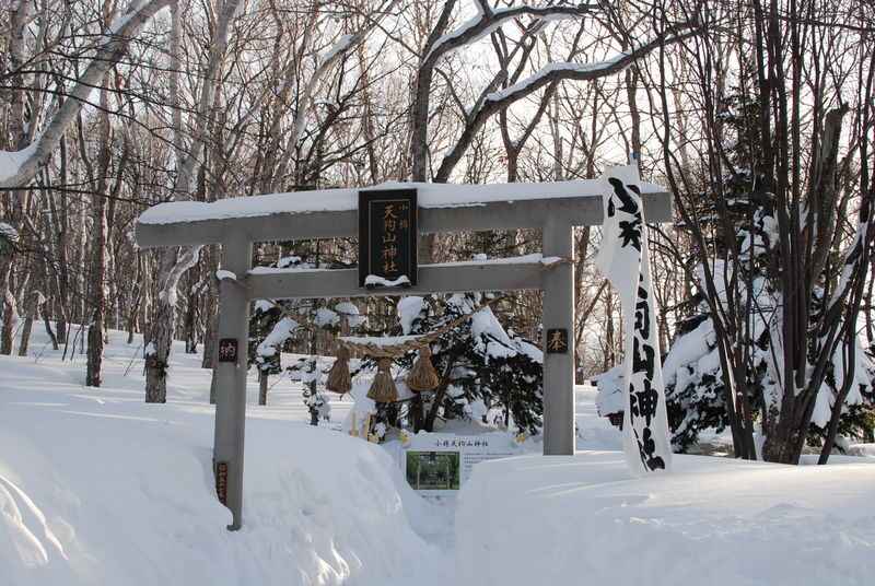 Mt Tengu Ropeway Round-trip Ticket - Should you book the Mt. Tengu Ropeway ticket?