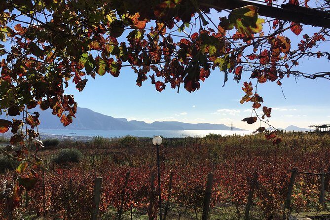 Mt. Vesuvius Wine Tasting and Lunch Experience from Pompeii - Experience the Flavors of Vesuvius: A Wine Tasting and Lunch Tour from Pompeii