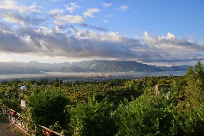 Mt. Vesuvius Wine Tasting and Lunch Experience from Pompeii - Authenticity and Value