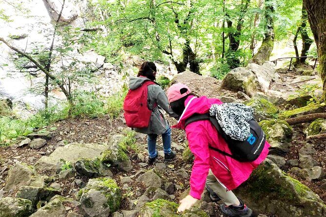Mt. Vitosha and Boyana Waterfall Hiking Tour from Sofia - Exploring the Mt. Vitosha and Boyana Waterfall Hiking Tour from Sofia