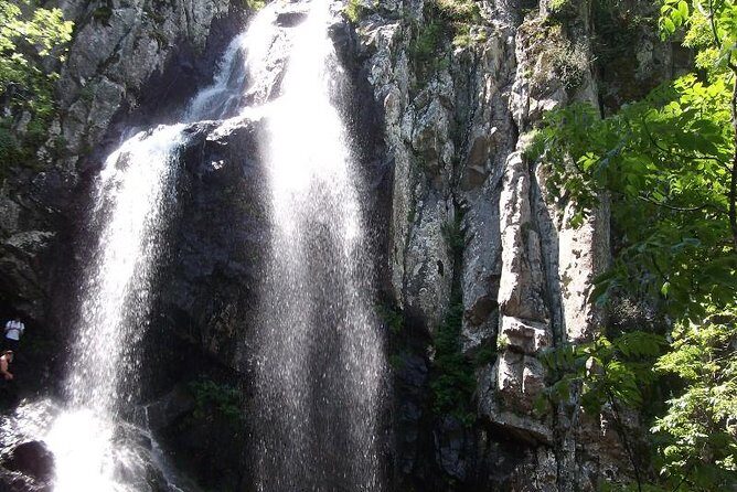 Mt. Vitosha and Boyana Waterfall Hiking Tour from Sofia - What Makes This Tour Stand Out?
