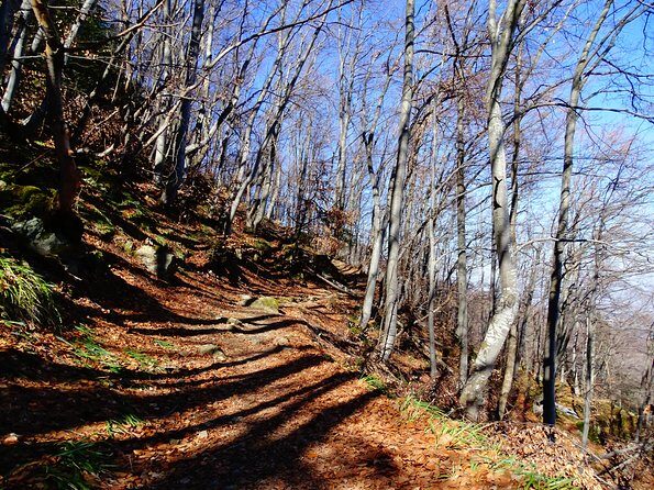 Mt. Vitosha and Boyana Waterfall Hiking Tour from Sofia - Who Will Love This Tour?