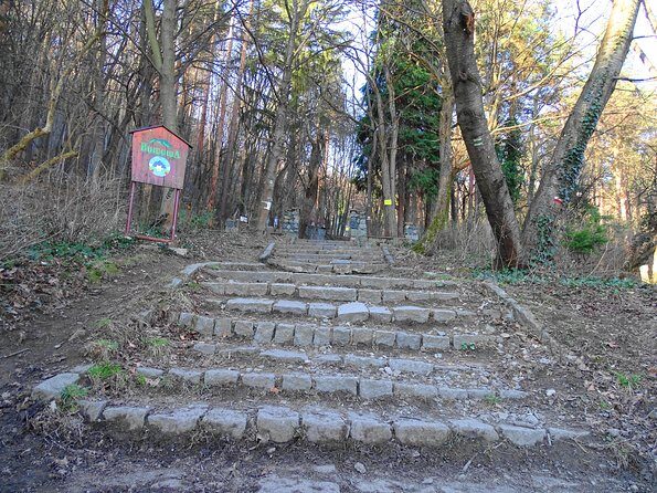 Mt. Vitosha and Boyana Waterfall Hiking Tour from Sofia - Final Thoughts