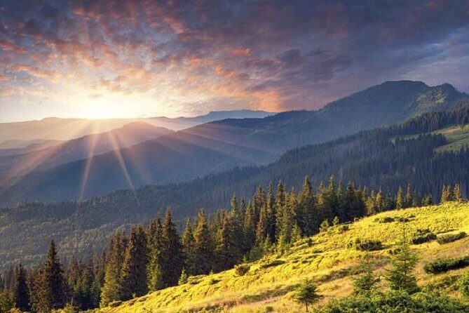 Mt. Vitosha and Boyana Waterfall Hiking Tour from Sofia - References