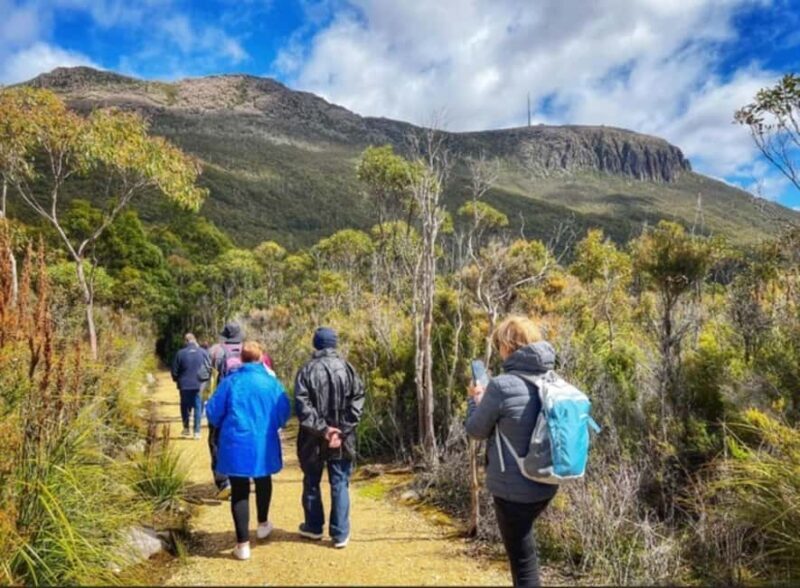 Mt Wellington Ultimate Afternoon Tour - Exploring Tasmania’s Iconic Mt Wellington: The Ultimate Afternoon Tour
