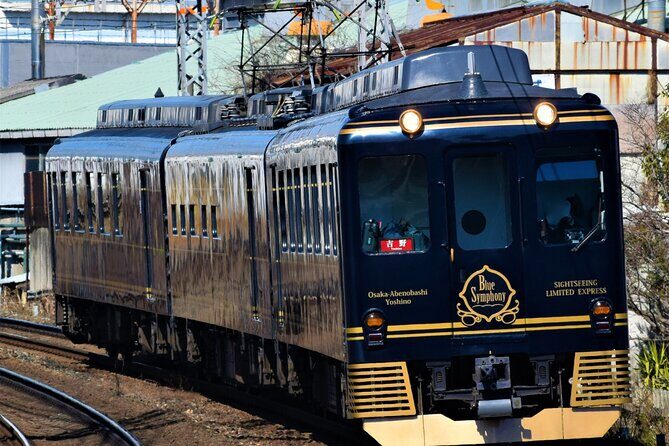 Mt Yoshino and Mt Koya Multi Day Tour From Osaka - In-Depth Look at the Itinerary and Experience