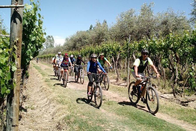 MTB - A tour of the wineries and their vineyards - A Closer Look at the Mendoza Wine & Bike Tour