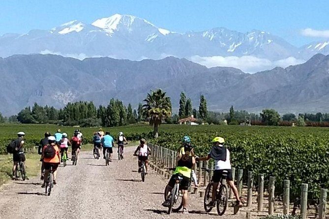 MTB - A tour of the wineries and their vineyards - Final Thoughts