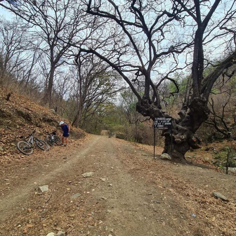 MTB Bike tour to the Monkey Tree + Bread Maker & Tule tree - FAQ