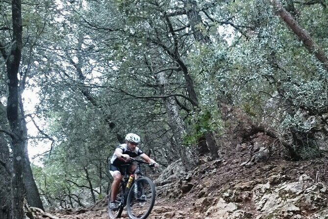 MTB guided tour in Bellver forest and Na Burguesa m.(E-MTB avai.) - Key Points