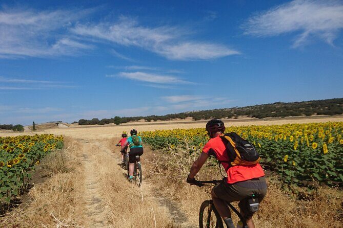 MTB (Self-Guided) Setenil de las Bodegas - 30km Easy - The Sum Up: Who Should Consider This Tour?