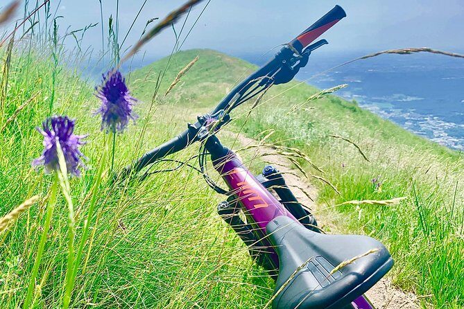 MTB Tour Lake Como Mountain Views & Local Cuisine - The Experience: What Travelers Say