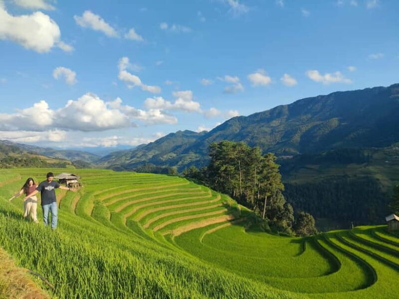 Mu Cang Chai: Halfday Motorbike Tour with Easy Rider & Lunch - The Sum Up
