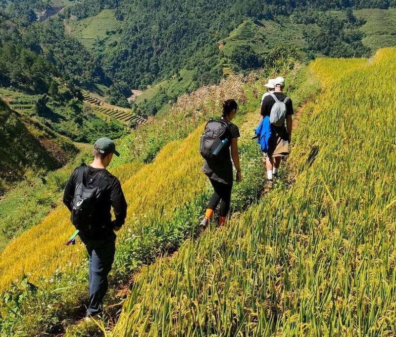 Mu Cang Chai: Highlights 3-hour Guided Hiking Trip - An In-Depth Look at the Mu Cang Chai Guided Hiking Experience