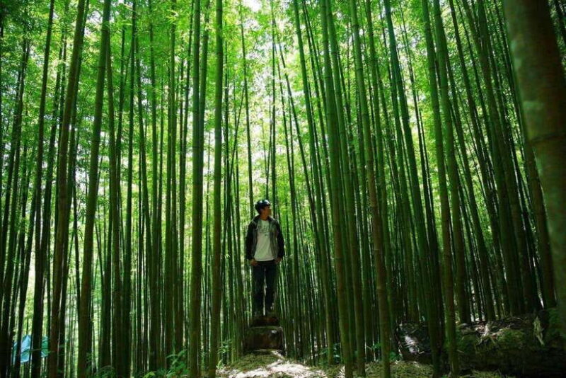 Mu Cang Chai: Motorbike Adventure with Waterfalls & Villages - Considerations and Tips