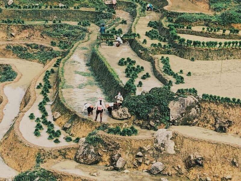 Mu Cang Chai: Private Car 1 day Tour with Local Guide - Key Points