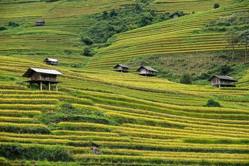 Mu Cang Chai: Private Car 1 day Tour with Local Guide - Final Thoughts: The Value of a Well-Organized Day Trip