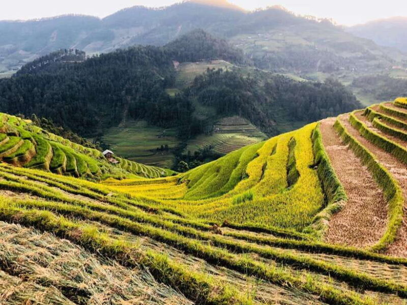 Mu Cang Chai: Private Car 1 day Tour with Local Guide - Frequently Asked Questions