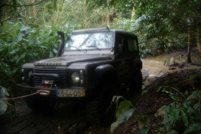 Mud Adventure - What Travelers Say