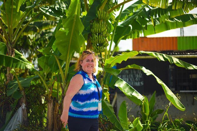 Mudbaths, Waterfall & Botanical Gardens Tour - All Inclusive - The Sum Up