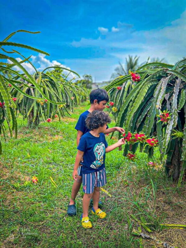 Mui Ne: Best day to Ta Cu Mountain Cable Car & Lying Buddha - A Detailed Look at the Tour Experience