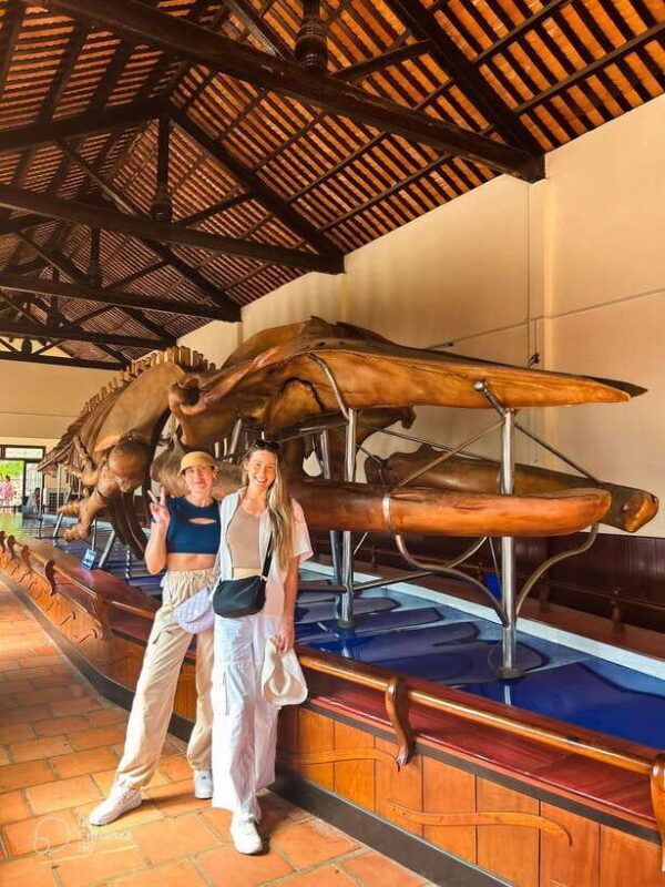 Mui Ne: Best day to Ta Cu Mountain Cable Car & Lying Buddha - Final Thoughts