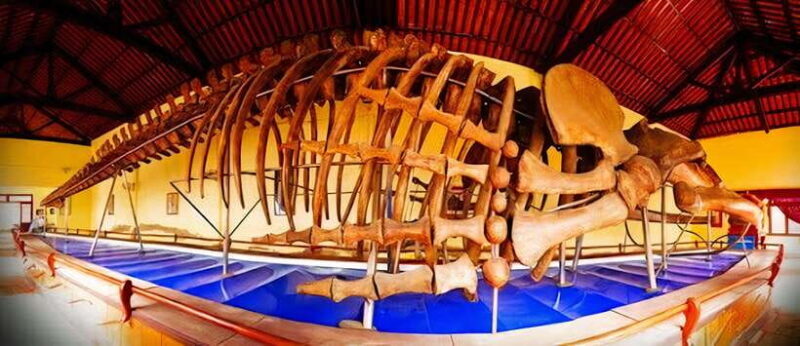 Mui Ne: Best day to Ta Cu Mountain Cable Car & Lying Buddha - FAQs