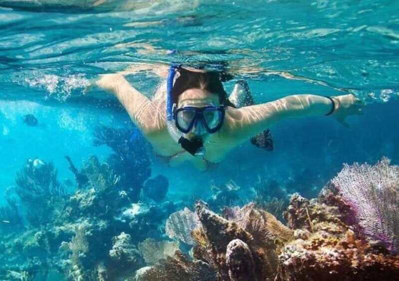 Mui Ne: Hidden Waterfall, Vinh Hy Bay Snorkeling Adventure - Key Points