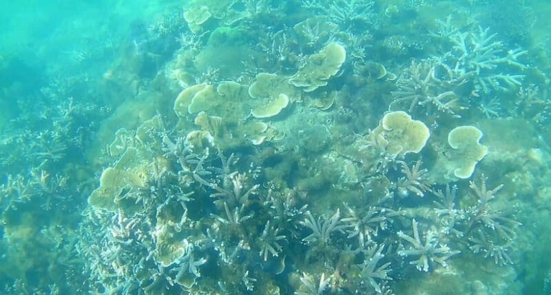 Mui Ne: Hidden Waterfall, Vinh Hy Bay Snorkeling Adventure - The Sum Up