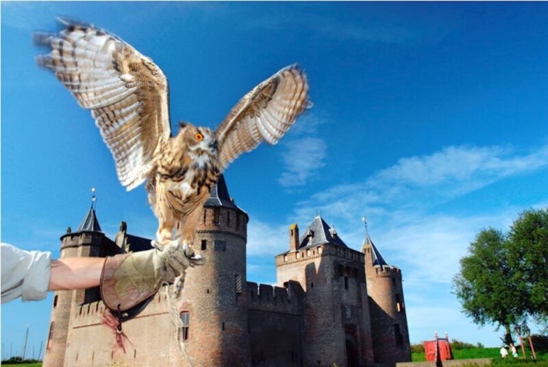 Muiden: Entry Ticket to Muiderslot Castle - Final Thoughts