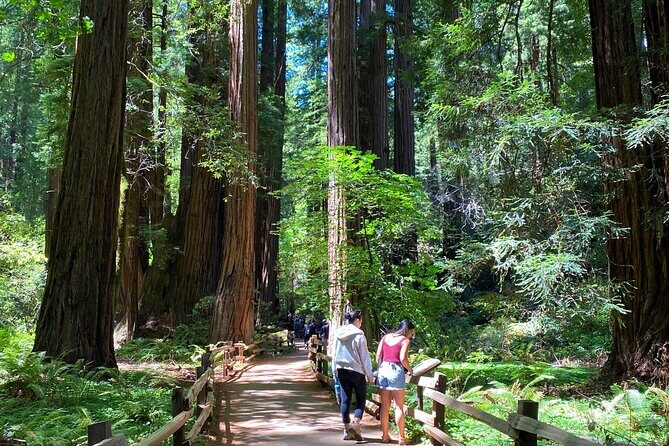 Muir Woods and Golden Gate Bridge 3-hour Private Group Tour - A Deep Dive into What This Tour Offers