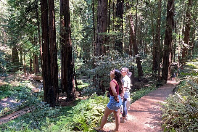 Muir Woods and Golden Gate Bridge 3-hour Private Group Tour - The Sum Up