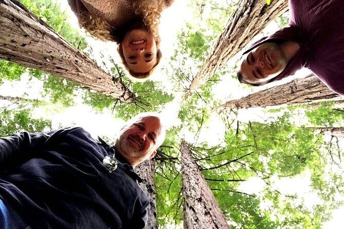 Muir Woods and Golden Gate Bridge 3-hour Private Group Tour - FAQ