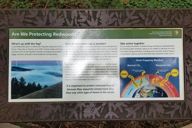 Muir Woods and Sausalito Afternoon Tour Small-Group Half-Day - Who Is This Tour Best For?