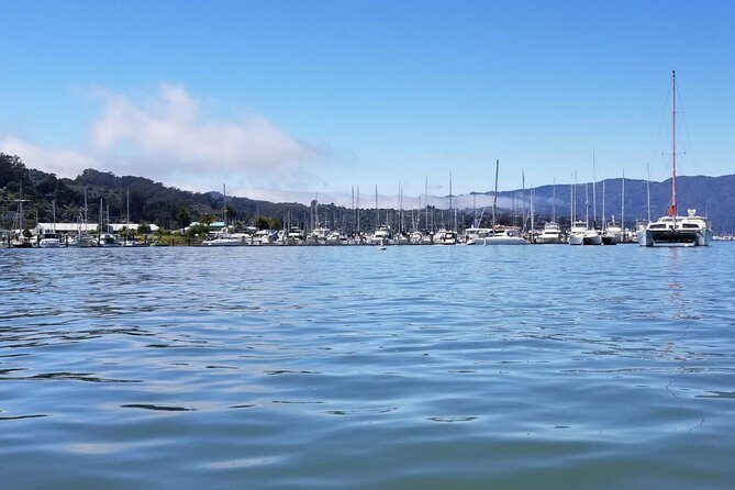 Muir Woods and Sausalito Morning Tour Small-Group Half Day - The Practicalities: Timing, Cost, and Comfort