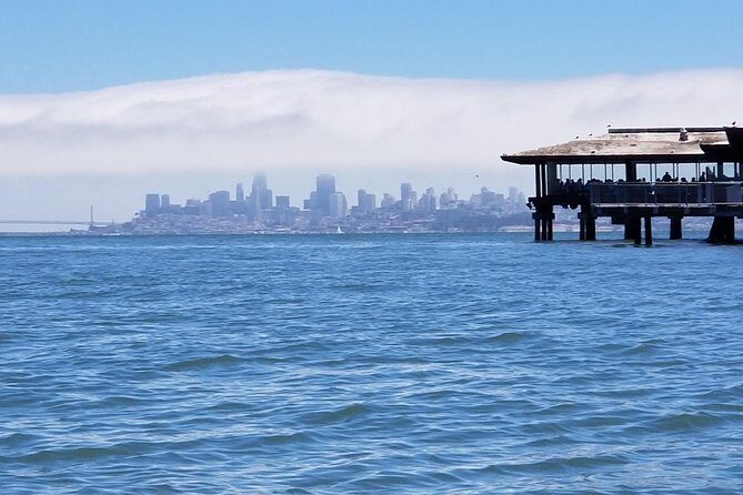 Muir Woods and Sausalito Morning Tour Small-Group Half Day - Who Will Love This Tour?