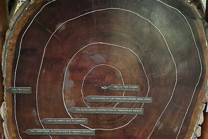 Muir Woods and Sausalito Private Tour - Final Thoughts: Who Should Consider This Tour?