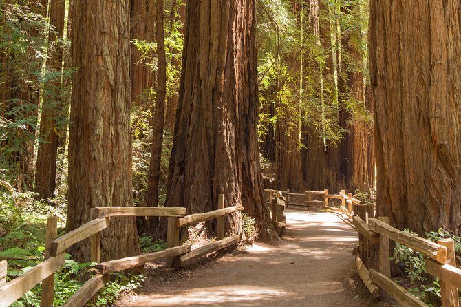 Muir Woods and Sausalito Small-Group Tour - Frequently Asked Questions