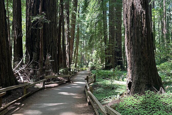 Muir Woods and Sausalito Tour 5 Hours of Natural Beauty - Frequently Asked Questions