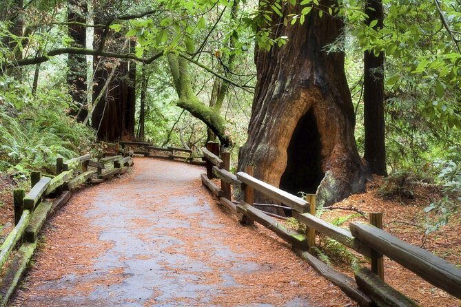 Muir Woods & Napa-8hr-Private Scenic Wine Tour From San Francisco - FAQs