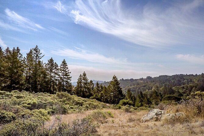 Muir Woods Self-Guided Driving and Walking Audio Tour - Practical Tips for Making the Most of Your Tour