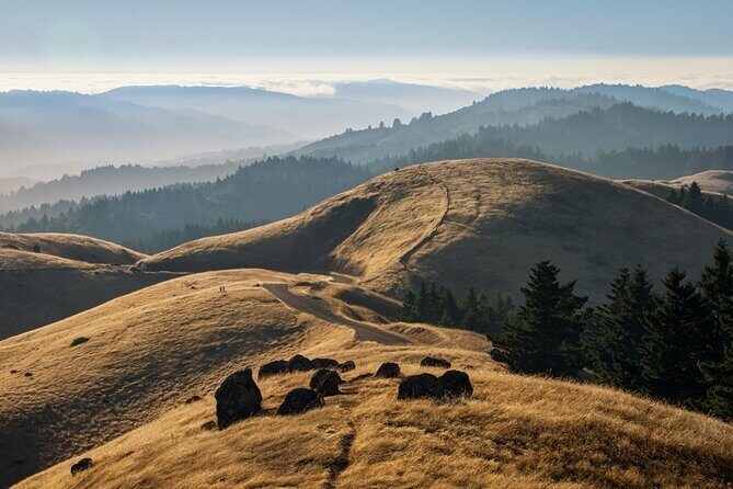 Muir Woods Self-Guided Driving and Walking Audio Tour - FAQs